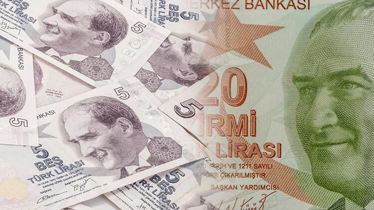 Türkiye Cumhuriyet Merkez Bankası, E9 Emisyon Grubu V. tertip 20 TL ve 5 TL banknotları bugünden itibaren tedavüle verecek. 