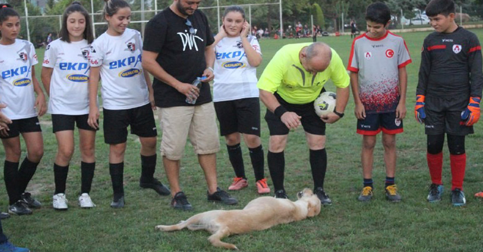 Denizli’de devam eden yaz futbol liginde müsabaka öncesi sahaya giren bir köpek, seremoninin yapılmasına izin vermedi. Maç, son çare köpeğin kucaklanarak sahadan çıkarılmasının ardından başlayabildi.