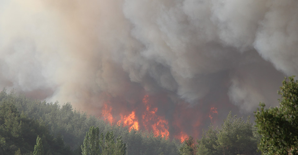 Denizli Valiliği kentte meydana gelen orman yangınlarına ilişkin son durumları açıkladı. Yapılan açıklamada 3 gün ardı ardına yaşanan yangınlarının kontrol altına alındığı ve soğutma çalışmalarının devam ettiği belirtildi.