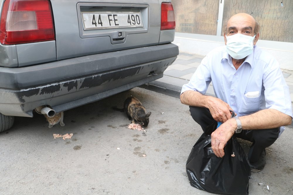 Malatya’da yaşayan 63 yaşındaki Ahmet Sarıçam, sayıları 200’ü bulan ‘oğlum ve kızım’ dediği sokak kedilerini 20 yıldır günde 2 saat zaman ayırarak besliyor. Sarıçam, hayvanların besleme giderlerini emekli maaşından ve hayvan severlerin destekleriyle karşılıyor.