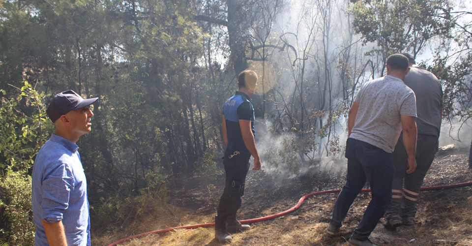 Denizli'nin Sarayköy ilçesinde çıkan orman yangını kontrol altına alındı. Soğutma çalışmalarının devam ettiği orman yangınında 1 dönümlük alan zarar gördü.