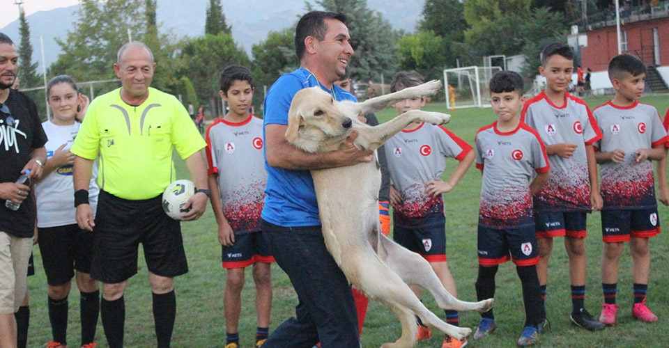 Denizli’de devam eden yaz futbol liginde müsabaka öncesi sahaya giren bir köpek, seremoninin yapılmasına izin vermedi. Maç, son çare köpeğin kucaklanarak sahadan çıkarılmasının ardından başlayabildi.