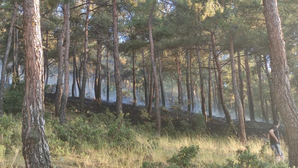 Denizli'de ormanlık alanda çıkan yangın ekiplerin kısa sürede müdahalesiyle söndürüldü.