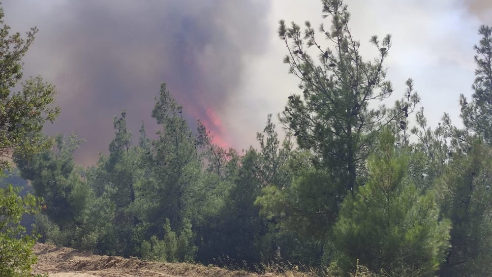 Denizli’nin Buldan ilçesinde öğle saatlerinde başlayan orman yangını, geniş bir bölgeye yayılarak kırsal Çamköy Mahallesini tehdit etmeye başladı.