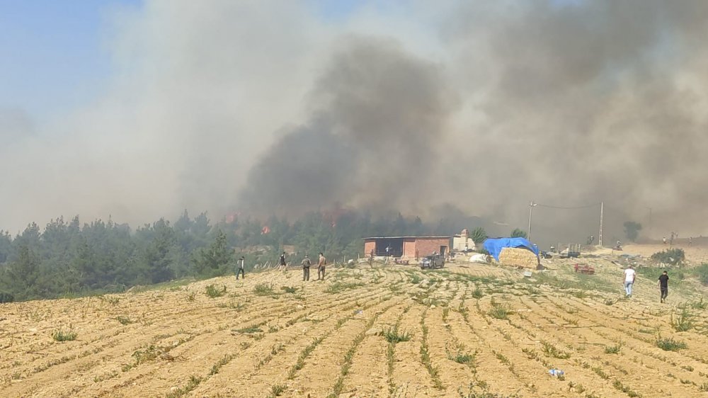 Denizli’nin Buldan ilçesinde öğle saatlerinde başlayan orman yangını, geniş bir bölgeye yayılarak kırsal Çamköy Mahallesini tehdit etmeye başladı.