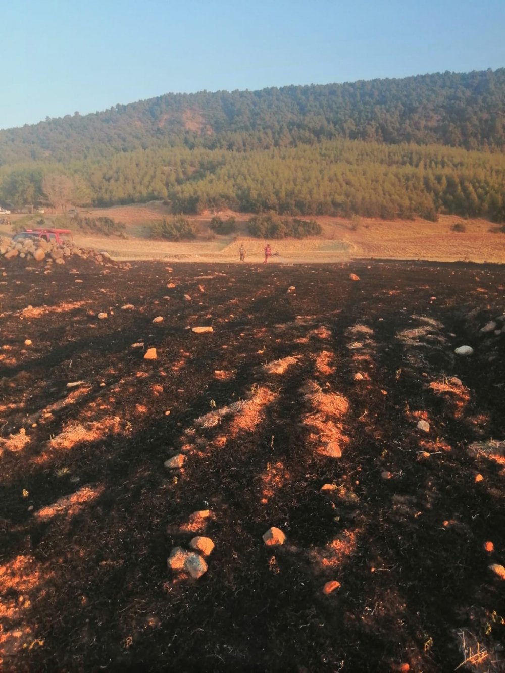 Denizli’nin Honaz ilçesinde kontrolsüz bir şekilde yakılan anızda başlayan yangın, zamanında müdahaleyle ormana sıçramadan söndürüldü.