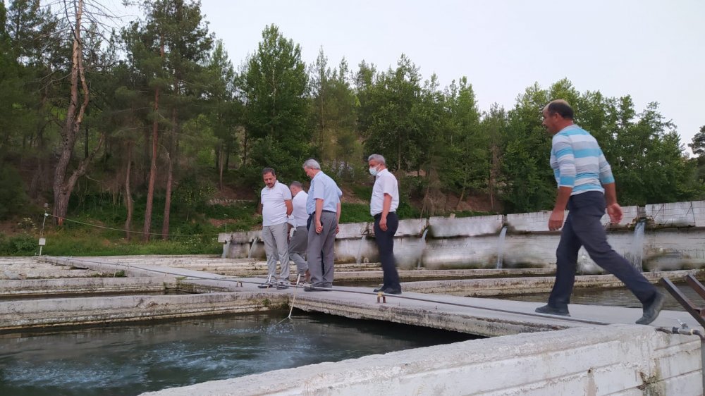 Tarım ve Orman Bakanlığı Balıkçılık ve Su Ürünleri Genel Müdürü Dr. Mustafa Altuğ Atalay, Denizli’de alabalık üreticileri ile buluştu.