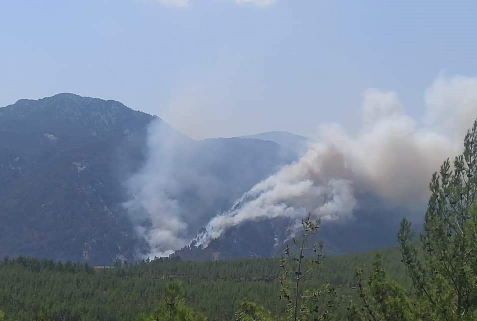 Denizli’nin Acıpayam ilçesinde Köyceğiz sınırına yakın ormanlık alanda henüz belirlenemeyen nedenden dolayı yangın çıktı. Ekipler yangına havadan ve karadan müdahale ederek yangını kontrol altına almaya çalışıyor.