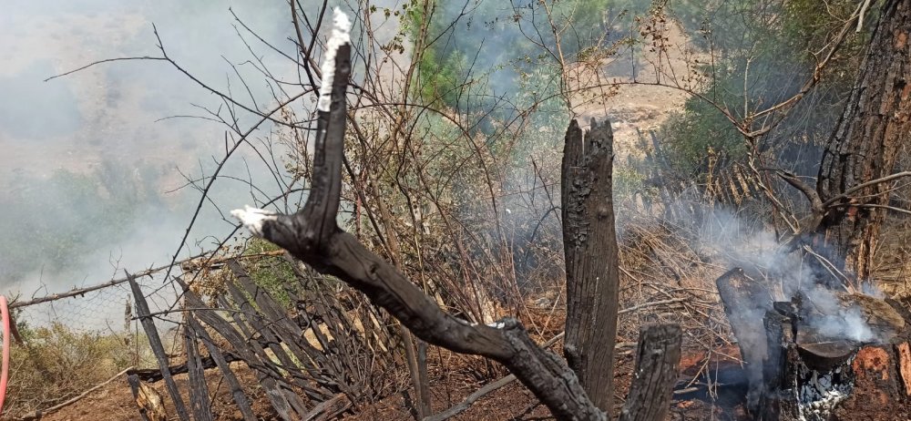 Denizli’nin Acıpayam ilçesinde meydana gelen orman yangını, havadan ve karadan yapılan müdahale ile büyümeden kontrol altına alındı.