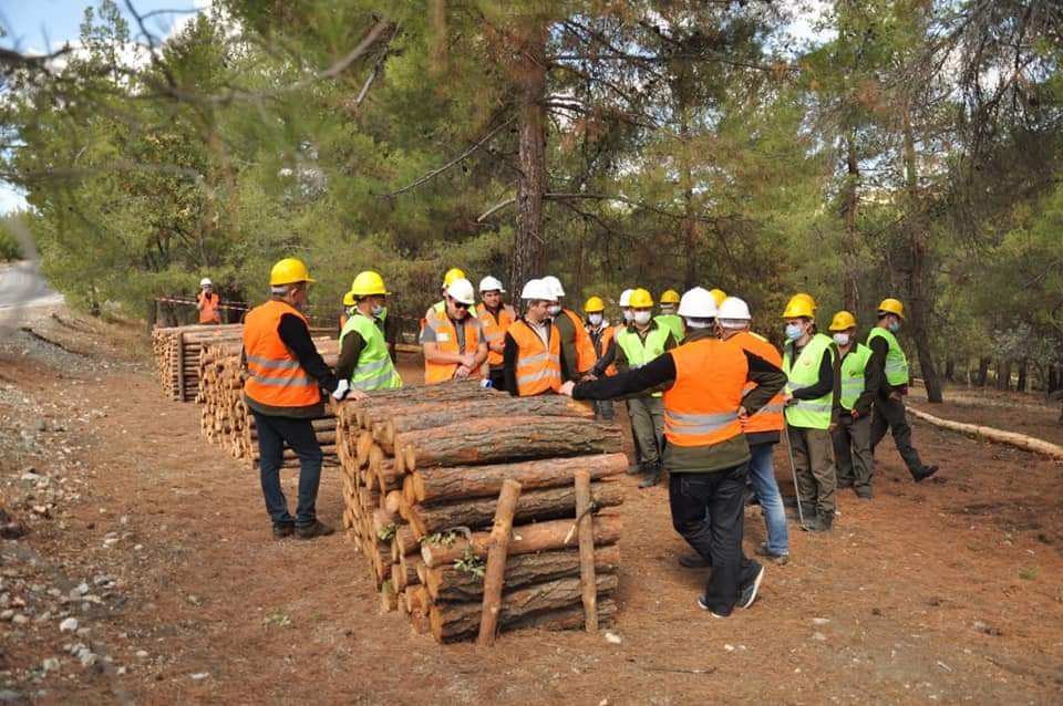  Denizli'de Çal Orman İşletme Müdürlüğü tarafından çalışanlara uygulamalı eğitim verildi. Yapılan eğitimde üretim, ağaç kesme, boylama ve standardizasyon üzerine çalışmalar yapıldı.