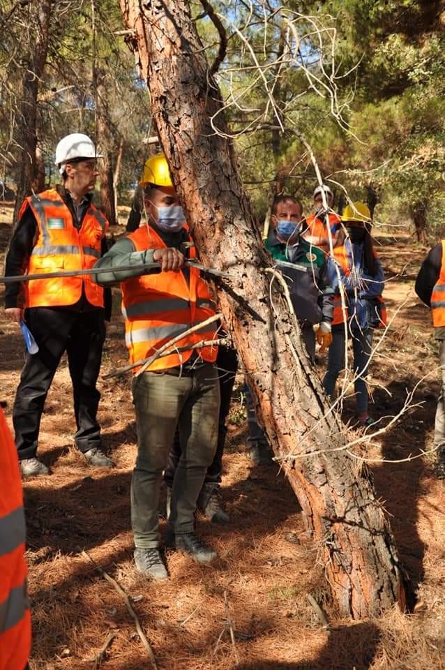  Denizli'de Çal Orman İşletme Müdürlüğü tarafından çalışanlara uygulamalı eğitim verildi. Yapılan eğitimde üretim, ağaç kesme, boylama ve standardizasyon üzerine çalışmalar yapıldı.