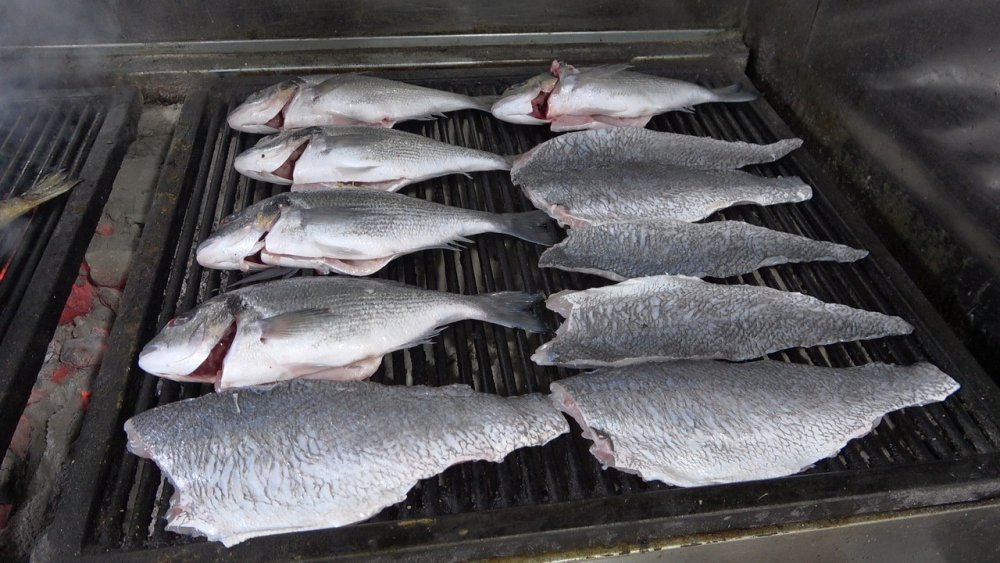 Denizli’de havaların soğumasıyla beraber vatandaşlar vücut bağışıklığına hem de hastalıklara karşı iyi gelen balığa yöneldi. Balık restoranlarında çeşitliliğin artmasıyla yoğunluk gözlemlenirken, esnaflar bayat balık konusunda ise uyardı.