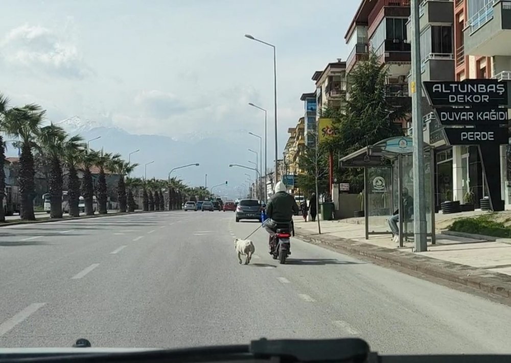 Denizli’de yasak ırk olan köpeğini elektrikli motosikletine iple bağlayıp sürükleyen sürücü, akan trafikte tehlikeye yol açtı. Kendisini görüntüleyen gazetecinin kamerasına tokat atan sürücü, 