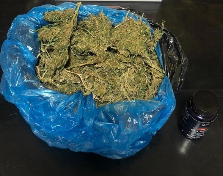 Denizli’de uyuşturucu madde ticareti yapan ve çeşitli miktarda malzeme ile yakalanan 16 şüpheli çıkarıldığı mahkemece tutuklandı.