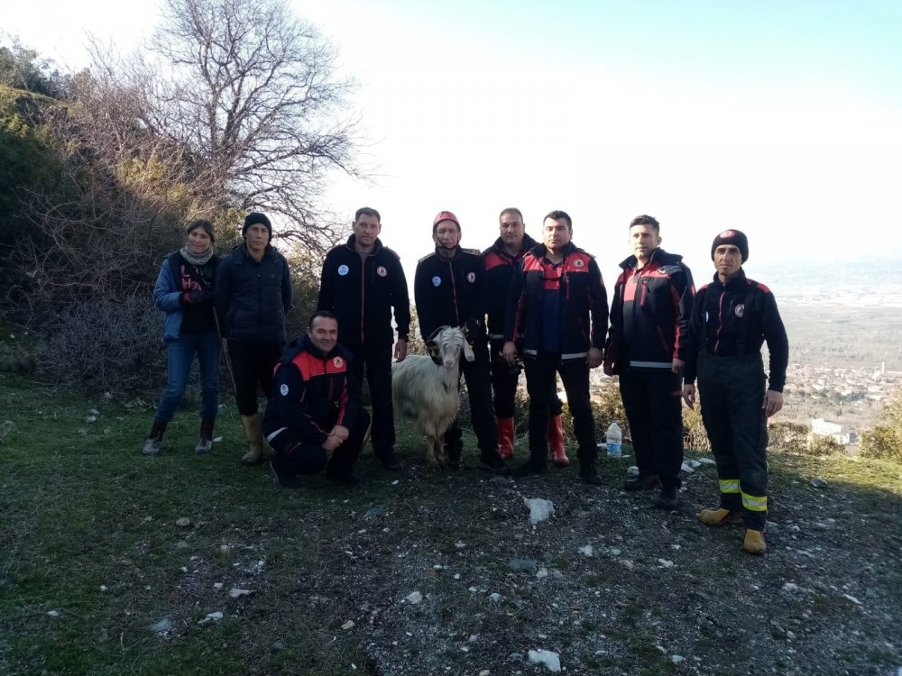 Denizli’nin Honaz ilçesinde uçurumda mahsur kalan 4 keçi, halat yardımıyla aşağıya sarkan itfaiye ekipleri tarafından kurtarıldı.