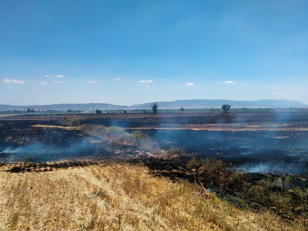 Denizli'nin Çivril ilçesinde hasat sonrası tarlada kalan anızların bilinçsizce yakılması nedeniyle başlayan yangında 200 dekar alan siyaha büründü.