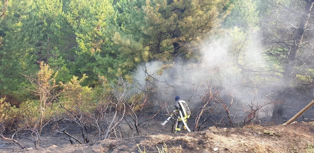 Denizli’nin Babadağ ilçesinde meydana gelen orman yangını, ekiplerin hızlı müdahalesiyle büyümeden kontrol altına alındı.
