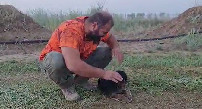 Denizli’nin Çivril İlçesinde yaşayan Selçuk Poslu, köpeğini kalp masajı yaparak hayata döndürdü.
