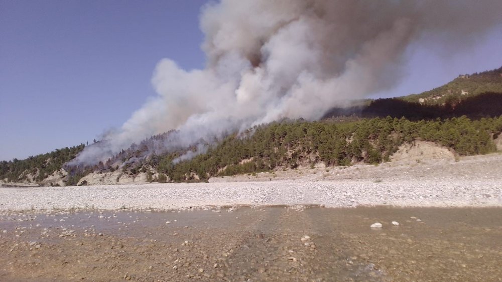 Denizli – Muğla il sınırında bulunan genç orman sahasında başlayan yangına, karadan ve havadan müdahale ediliyor.