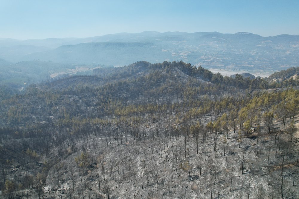 Denizli-Muğla il sınırında meydana gelen orman yangınının tamamen kontrol altına alınmasının ardından soğutma çalışmaları sürüyor. Yaklaşık 100 hektarlık alanın küle döndüğü yangında, alan havadan görüntülendi.