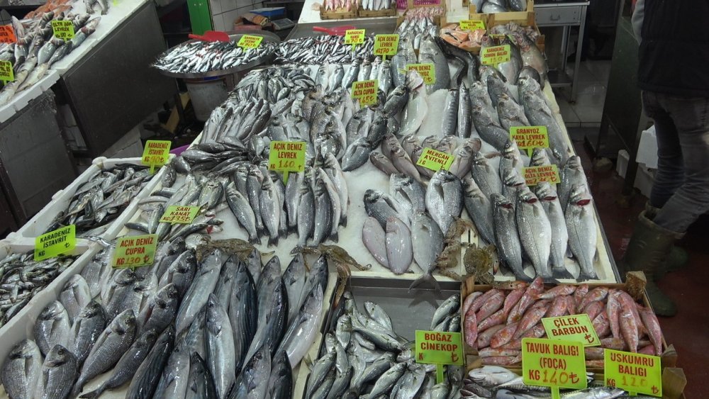 Denizli’de balık tezgâhlarında bolluk yaşanıyor. Çinekop başta olmak üzere sardalya ve hamsi çoğunlukla tercih edilirken, balıkçı esnafı da satışlardan fazlasıyla memnun olduğunu belirtti.