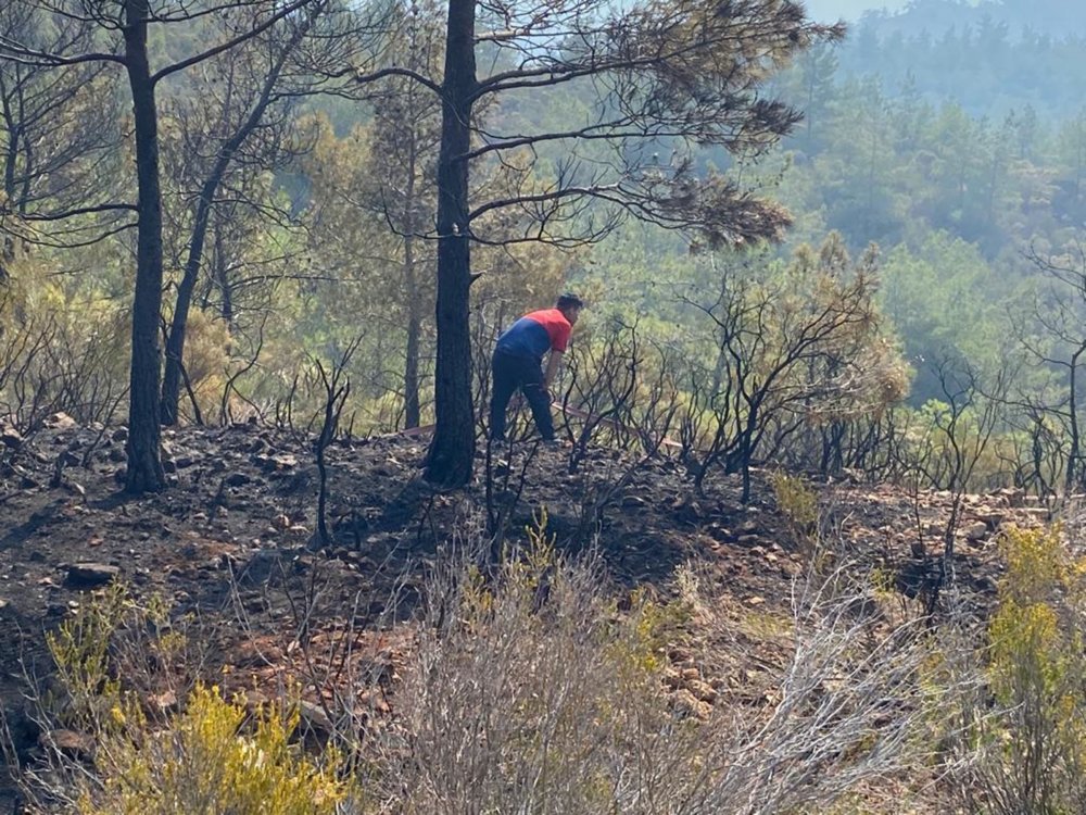 Denizli Büyükşehir Belediyesi İtfaiyesi geçen yıl olduğu gibi bu yıl da Muğla’nın Marmaris ilçesinde yaşanan orman yangınına ekip gönderdi. Denizli Büyükşehir Belediyesi Marmaris ilçesinde devam eden orman yangını söndürme faaliyetlerine 5 araç ve 12 personel ile katılıyor.