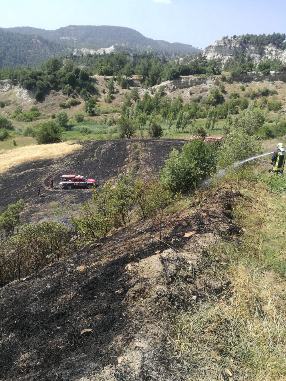 Denizli'nin Çameli ilçesinde çıkan yangında 2 dönüm tarım arazisi zarar gördü.