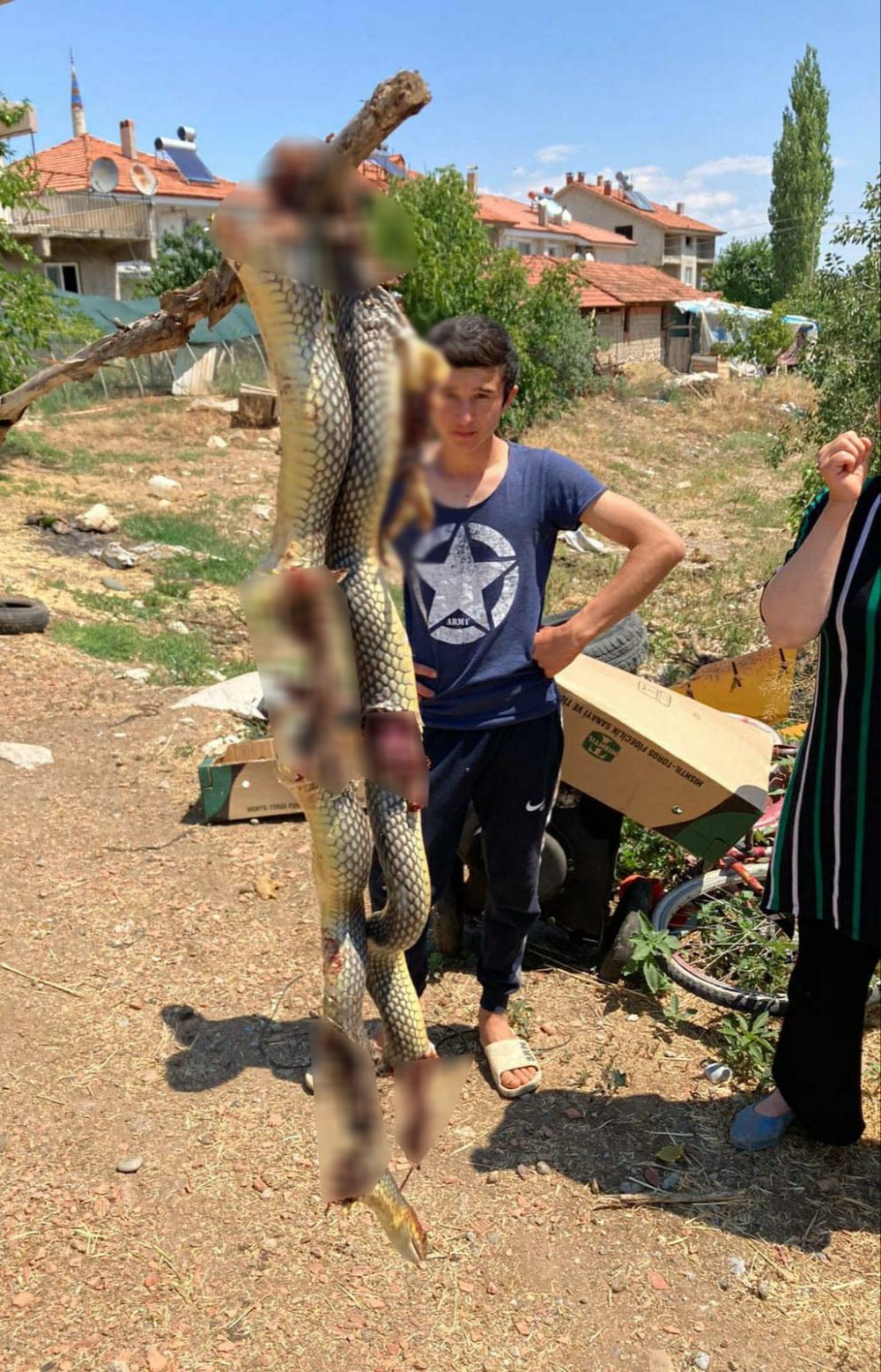 Denizli’nin Acıpayam İlçesinde eve girmek isteyen dev yılan, mahalle sakinleri tarafından öldürüldü. Yılanın boyutu mahalleliyi şaşkına çevirdi.