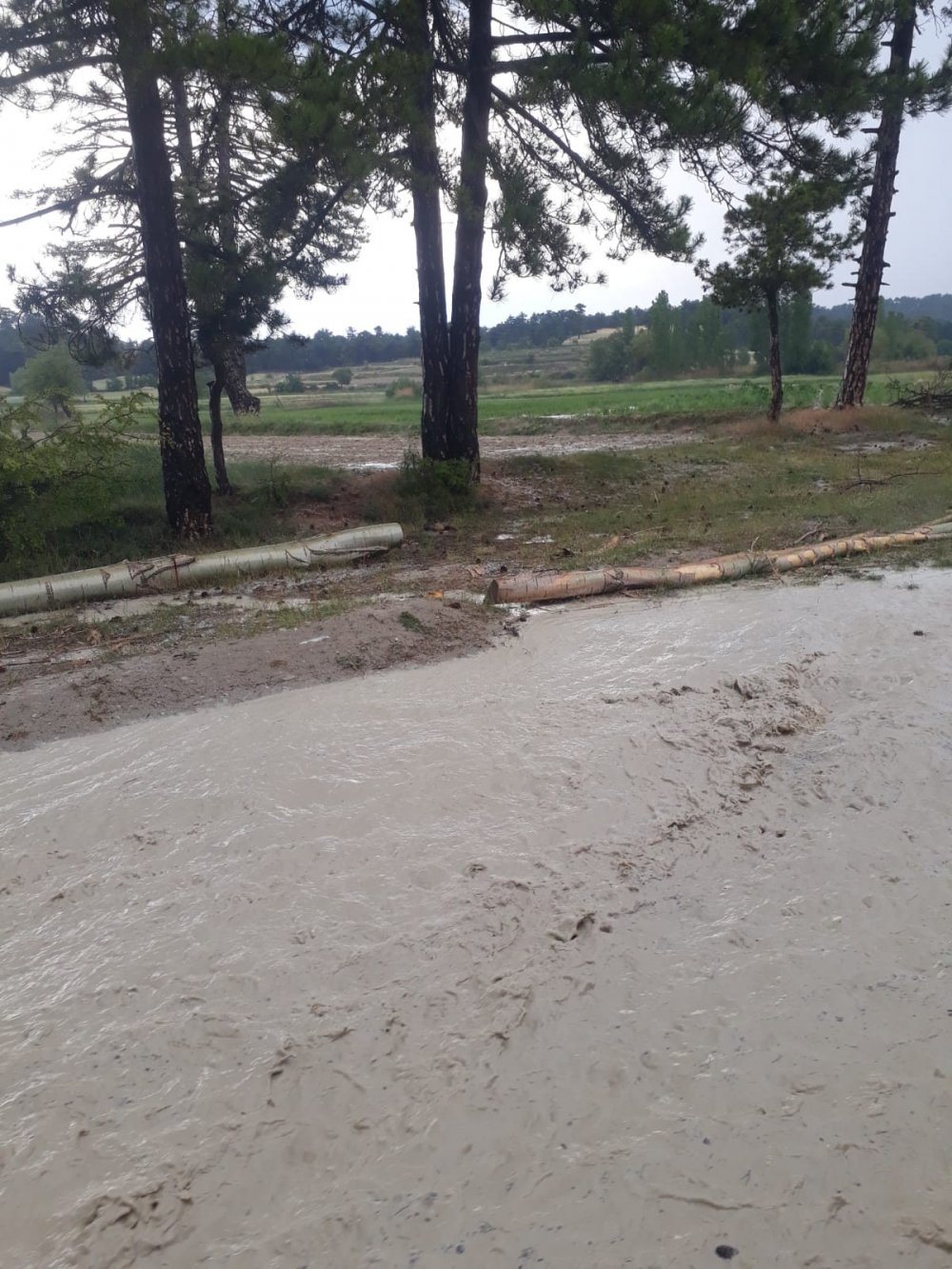 Denizli'nin Çameli ilçesinde aşırı yağıştan dolayı Yaylapınar ve Kalınkoz Mahallesi'nde biriken sular ova arazilerinde sele neden oldu. Ara ara ise dolu yağışı etkili oldu.