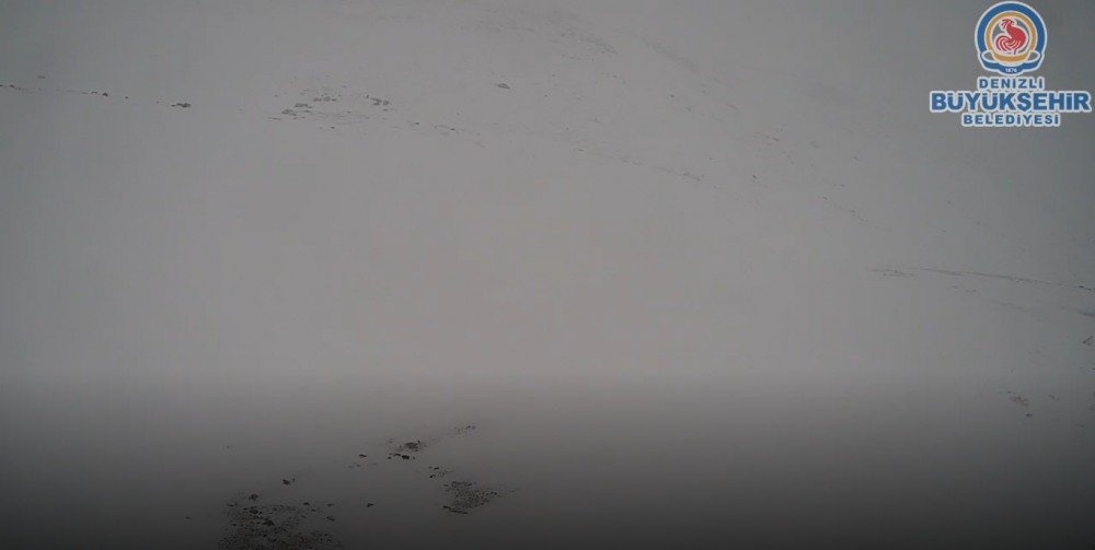 Denizli’de gece geç saatlerde başlayan kar yağışı sonrası Denizli Kayak Merkezi beyaza büründü. Mevsim normallerinin geçtiğimiz yıllara oranla daha hafif geçmesi nedeniyle sezonun açılamadığı merkezde kar kalınlığının yer yer 1 metreyi bulduğu öğrenildi.