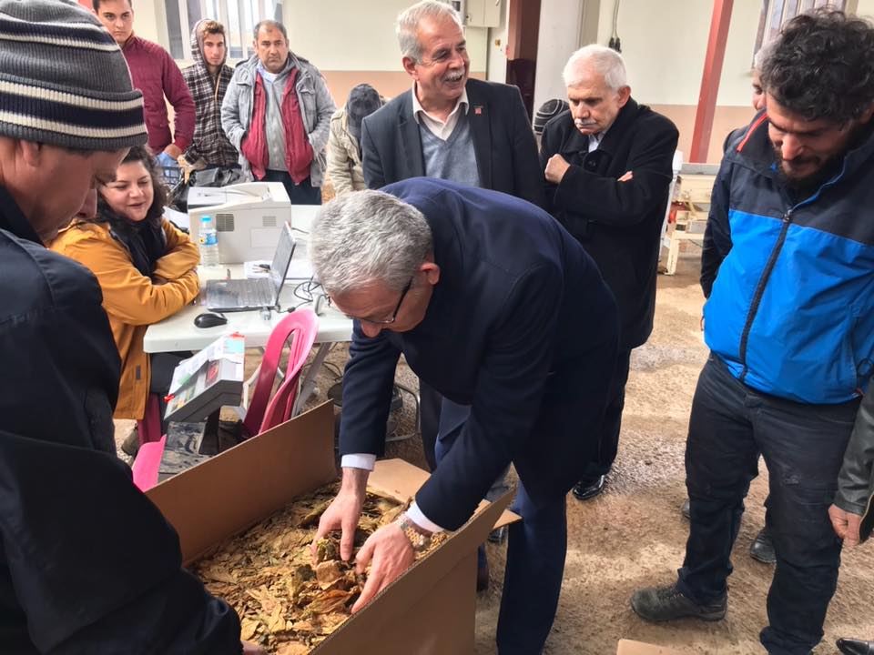 CHP Denizli Milletvekili Kazım Arslan Denizli’nin ilçelerinde tütün tesliminde bulunan üreticilerin ve firmaları ziyaret ederek sorunları yerinde dinledi.
