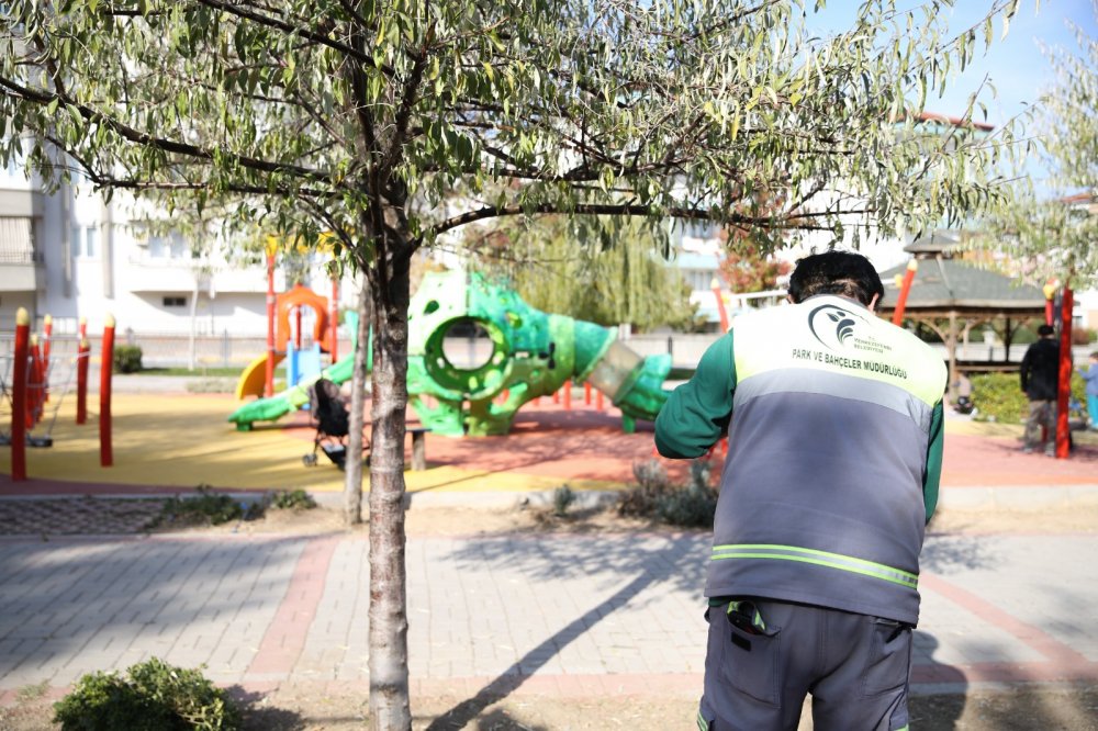 Merkezefendi Belediyesi, yaklaşan sonbahar günlerinde ilçe genelindeki tüm parklarda temizlik, bakım-onarım ve düzenleme çalışmalarını gerçekleştiriyor.