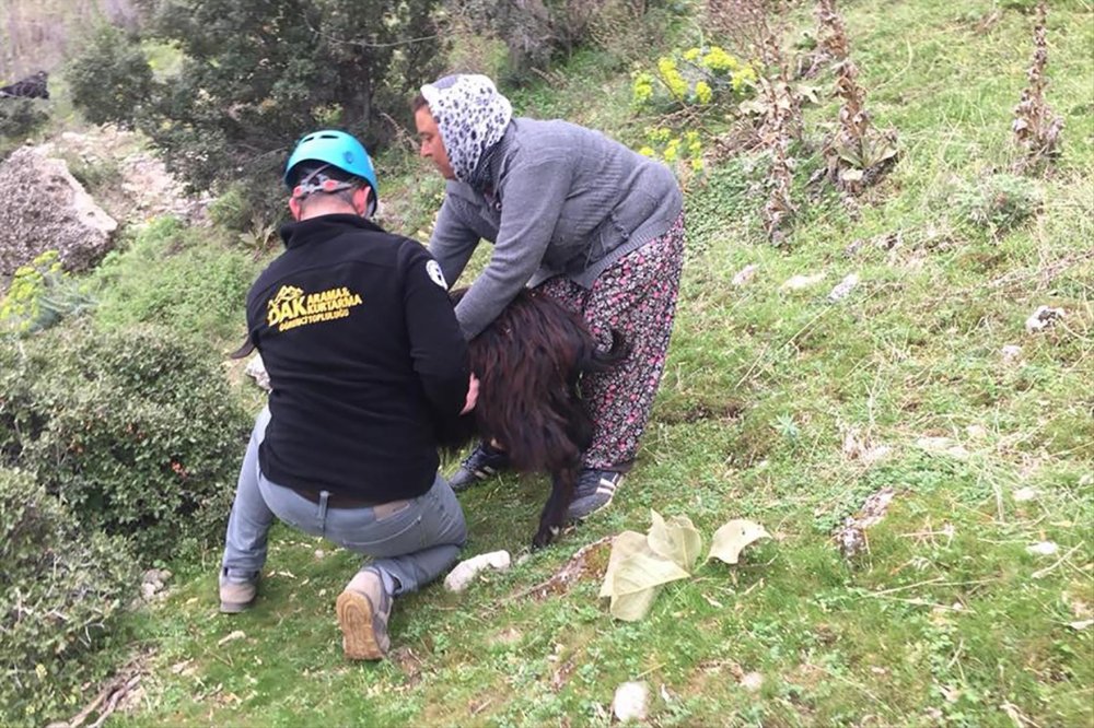 Denizli AFAD ve Pamukkale Üniversitesi Dağ Arama Kurtarma Öğrenci Topluluğu’nun birlikte katıldığı kurtarma operasyonda mahsur kalan keçi kurtarılarak sahibine teslim edildi.