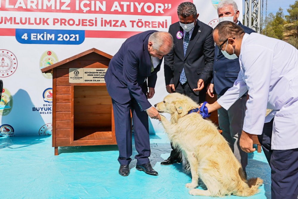 Denizli Büyükşehir Belediyesi, 4 Ekim Dünya Hayvanları Koruma Günü'nde Türkiye'ye örnek bir protokole imza attı. Öğrencilerin sokak hayvanlarını büyütüp besleyerek hayvan sevgisini kazanması için başlatılan 