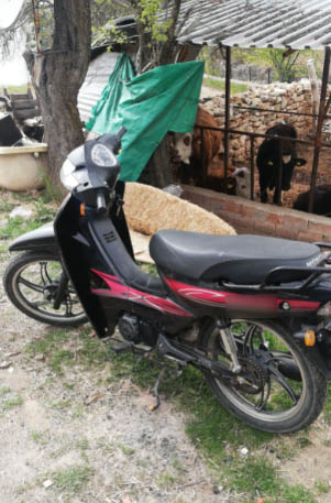 Denizli’de Pamukkale İlçesinde 2019 yılında meydana gelen motosiklet hırsızlığı şüphelisi düzenlenen operasyonla yakalandı. Şahsın, yapılan kimlik sorgusunda çeşitli suçlardan kesinleşmiş 16 yıl 8 ay hapis cezası ile arandığı tespit edildi. 