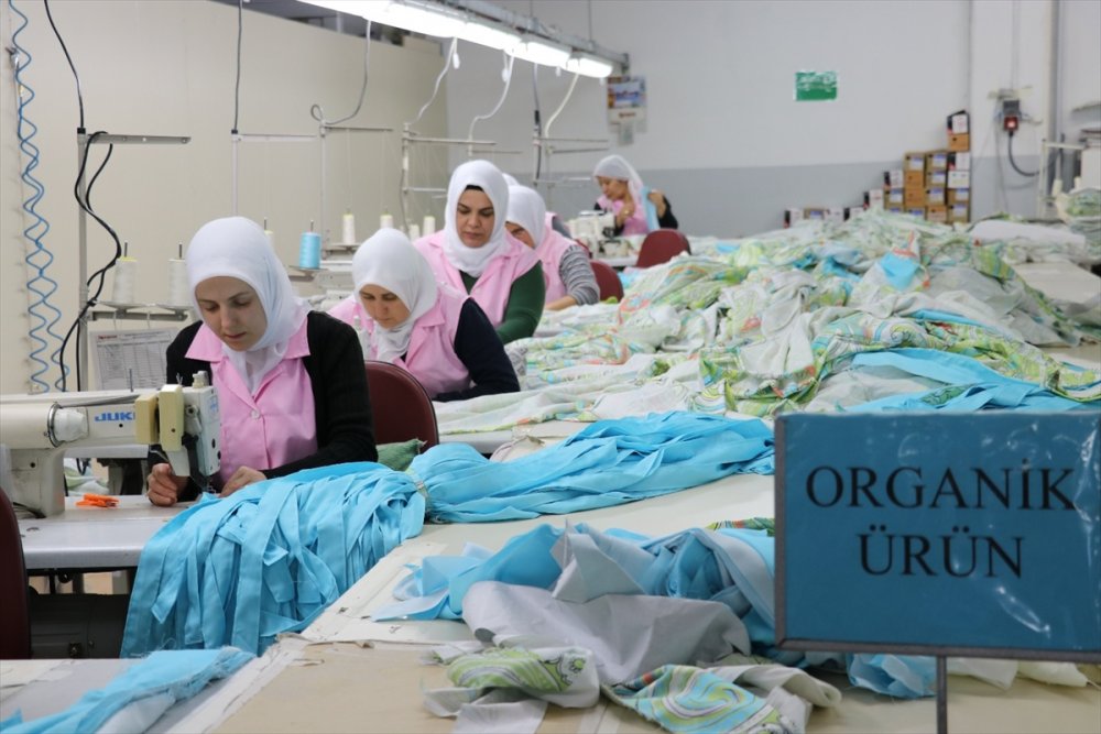 Denizli'de organik tekstil üretiminde uzmanlaşan bir firma, özellikle bebeklere yönelik nevresim takımları, havlu ve bornoz ürünleriyle 20 ülkeye markasıyla satış yapar hale geldi. ABD, Almanya, İngiltere ve Italya için de fason olarak üretim yaptıklarını vurgulayan Organik tekstil ihracatçısı İbrahim Uzunoğlu, “Tekstilde kullanılan kimyasalların etkilerinden korunmak isteyen tüketiciler, doğrudan vücuda temas eden tekstil ürünlerinde organik olanı tercih ediyor” dedi.